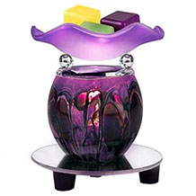 Electric Oil Warmer fragrance lamp