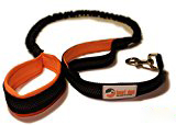 best dog dog leash