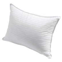 Fern and Willow down pillow