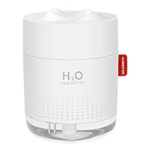 FATE TO FATE humidifier