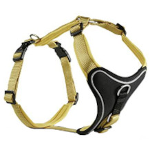 Wolters dog harness