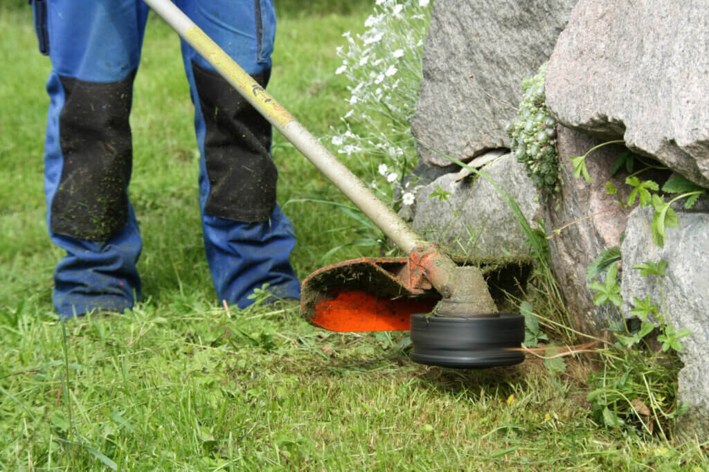 trimmer cuts grass at the edge of a stone