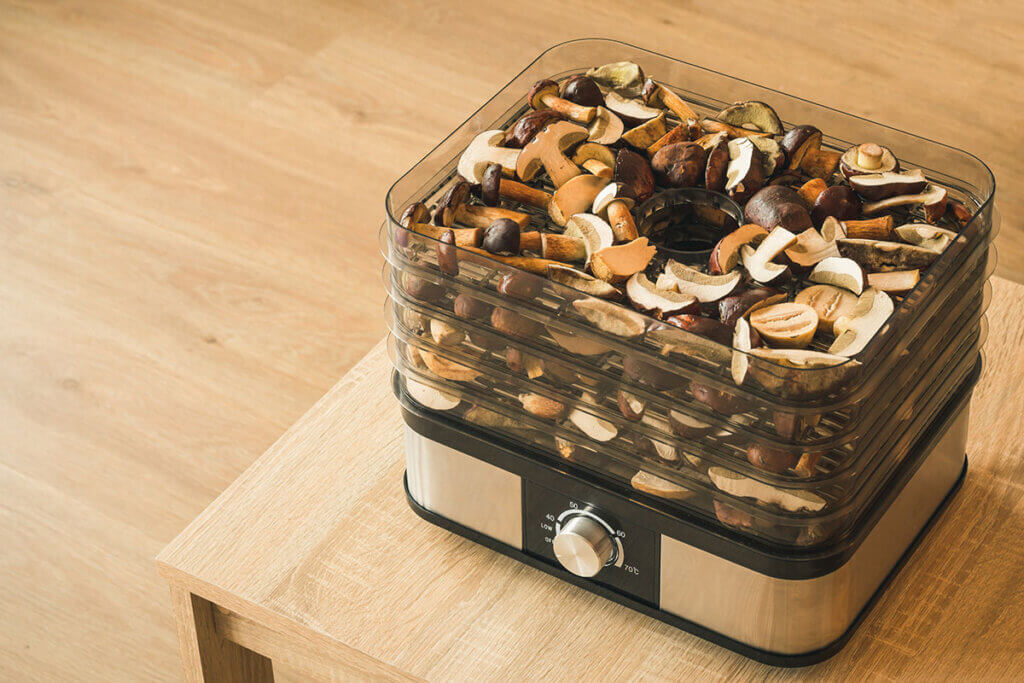 dehydrator_on_table_with_dried_vegetables