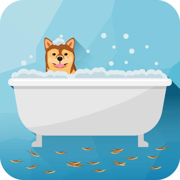  Bathing the dog
