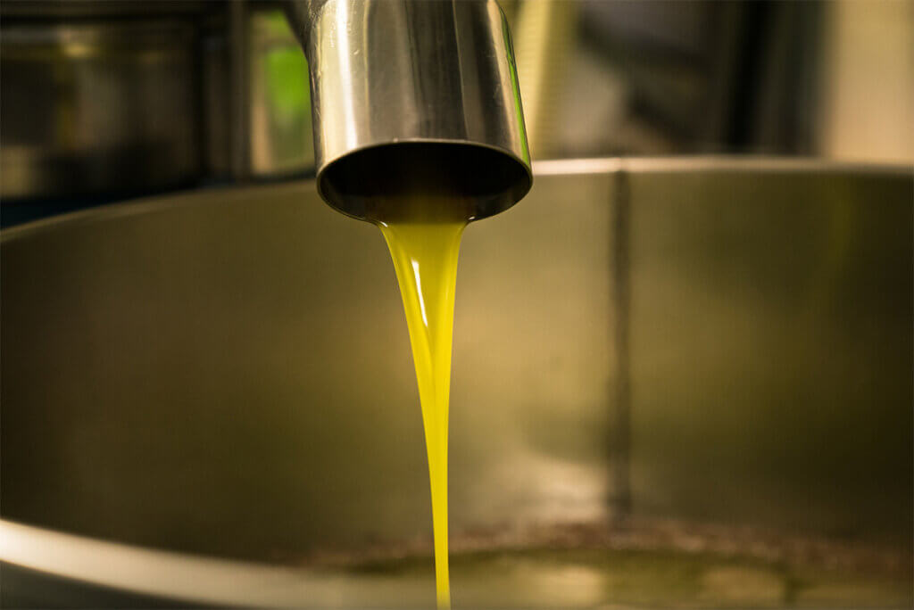 processing of olive oil