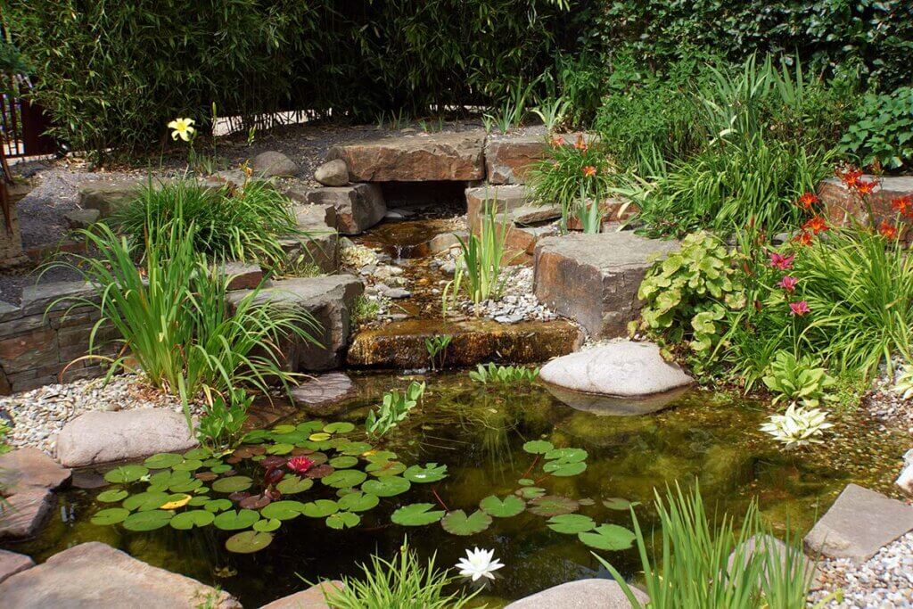 garden pond with stream run