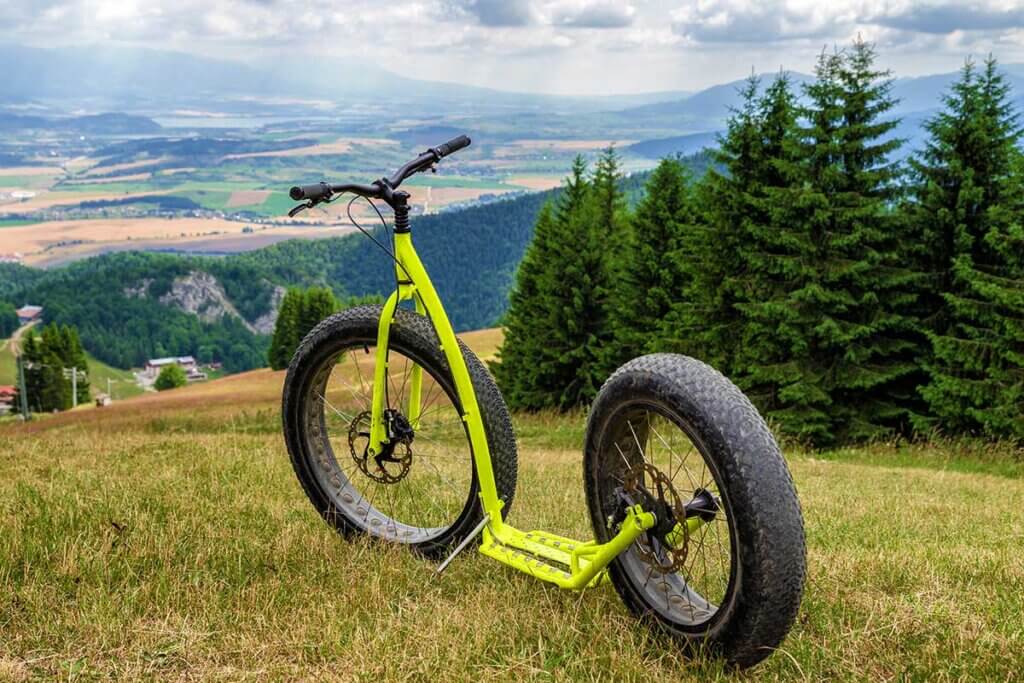 Downhill Scooter on the Meadow